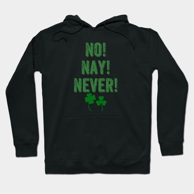 Wild Rover Irish Song Lyric Hoodie by reillysgal